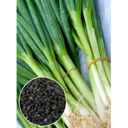 Цибуля Батун (насіння) 100 г