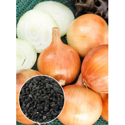 Цибуля Халцедон (насіння) 100 г