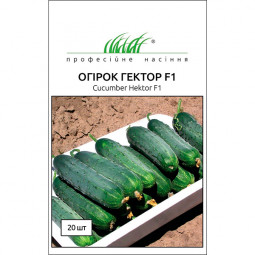 Огірок Гектор F1 20 шт