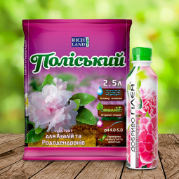 Комплект ALL INCLUSIVE для азалій