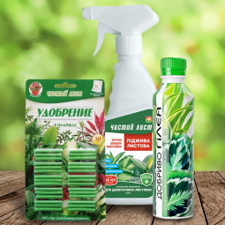 Комплект ALL INCLUSIVE для декоративно-листяних