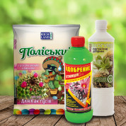 Комплекты для комнатных растений