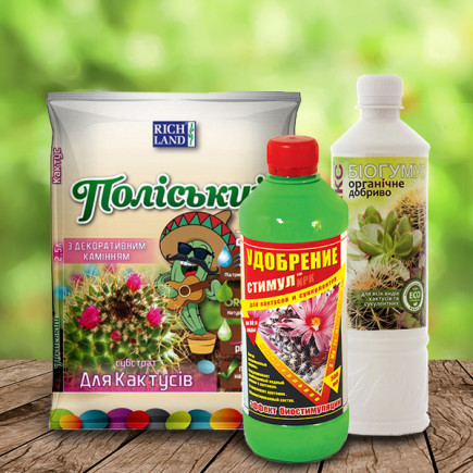 Комплект ALL INCLUSIVE для кактусів