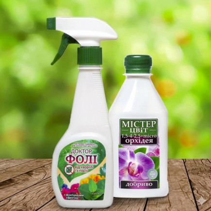 Комплект Красуня орхідея