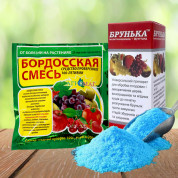 Засоби від кучерявості персика
