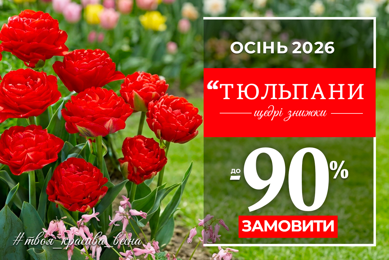 Тюльпаны — скидки до 90%!