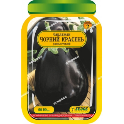 Баклажан Чорний Красень 60-90 шт