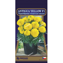 Чорнобривці низькорослі Antigua Yellow F1 (гігантські) 5 насінин