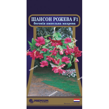 Бегонія ампельна махрова Шансон Рожева F1 ((10 насіння в оболонці)