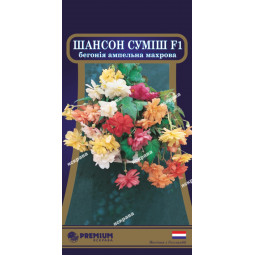 Бегонія ампельна махрова Шансон Суміш F1 (10 насіння в оболонці)