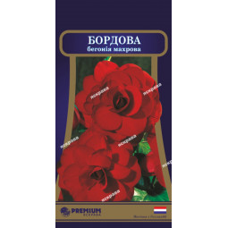 Бегонія махрова Бордова 10 насіння-драже