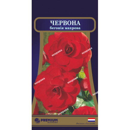 Бегонія махрова Червона 10 насіння-драже