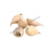 Ірис Reticulata Pixie
