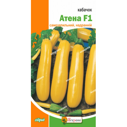 Кабачок Атена F1 (5 нас)