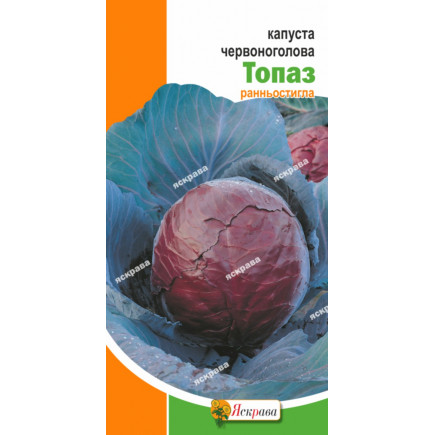 Капуста червоноголова Топаз 0.5 г