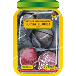 Капуста червоноголова Чорна голова 180-220 шт Капуста червоноголова Чорна голова 180-220 шт