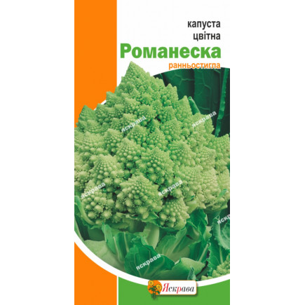 Капуста цвітна Романеска (зелена) 0.3 г