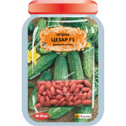 Огурец Цезарь F1 (45-55 шт)