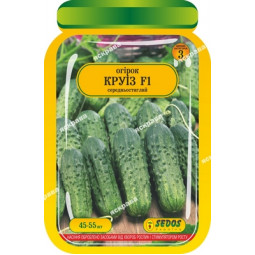 Огурец Круиз F1 45-55 шт
