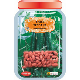 Огурец Тесса F1 (45-55 шт)