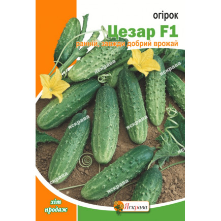 Огурец Цезарь F1 2.5 г