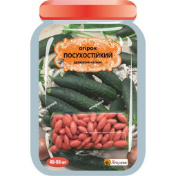 Огірок Посухостійкий (45-55 шт)