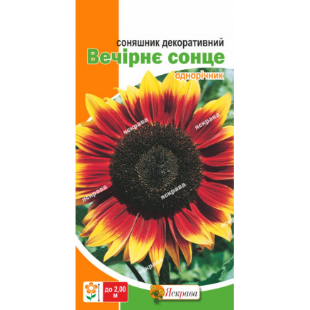 Соняшник Вечірнє сонце 2.0 г