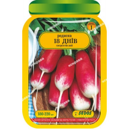 Редис 18 днів 180-220 шт