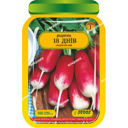 Редис 18 днів 180-220 шт
