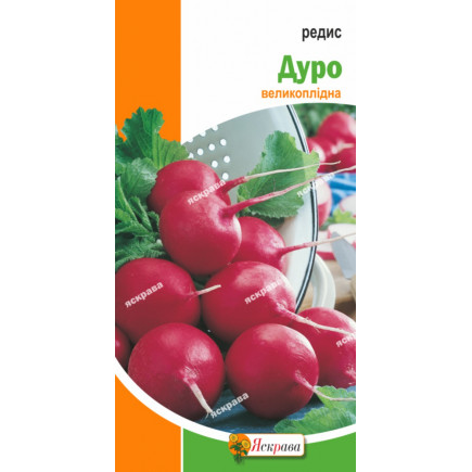Редис Дуро (великоплідний) 3 г