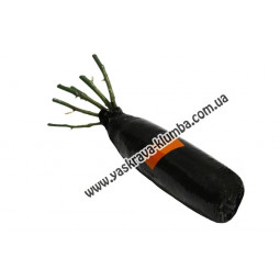 Троянда чайно-гібридна Версілія (Versilia)