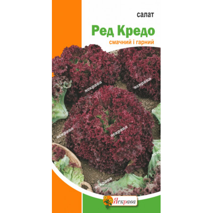 Салат Ред Кредо 1 г