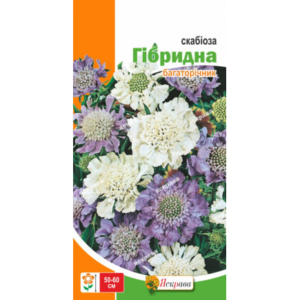 Скабіоза Багаторічна 0.1 г