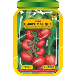 Томат Цифомандра 70-90 шт