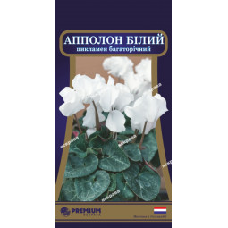 Цикламен багаторічний Аполлон білий 5 насінин