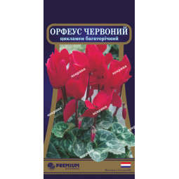 Цикламен багаторічний Орфеус червоний 5 насінин