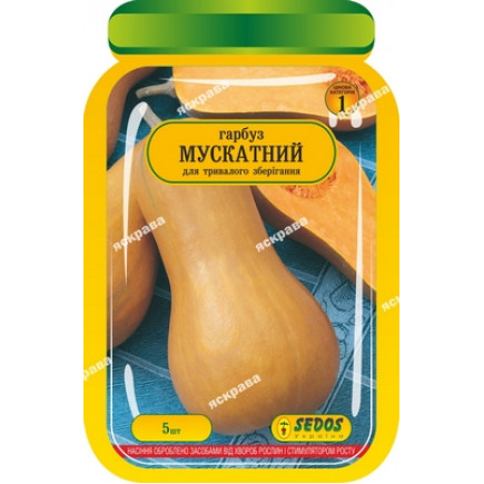 Гарбуз Мускатний 5 шт