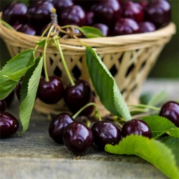 Черешня карликовая Гарден Бинг