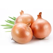 Лук