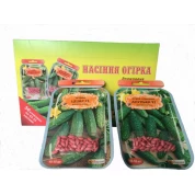 Огурцы (дражированные семена)