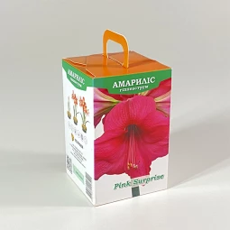 Гиппеаструм Pink Surprise (подарочная упаковка) Гиппеаструм Pink Surprise (подарочная упаковка)