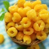 Малина Золотая Феерия