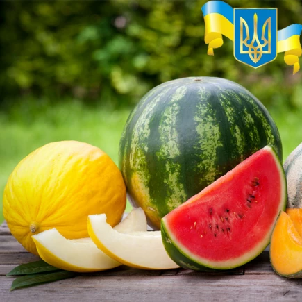 Комплект семян Призрак Киева