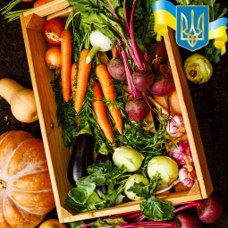 Комплект насіння Сита родина Комплект насіння Сита родина