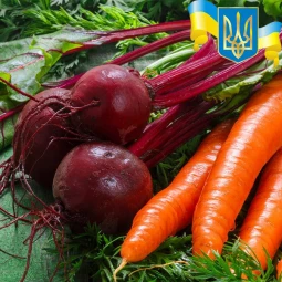 Комплект насіння Сита родина Комплект насіння Сита родина
