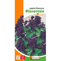Шавлія блискуча Фіолетова 0.2 г Шавлія блискуча Фіолетова 0.2 г