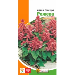 Шавлія блискуча Рожева 0.2 г Шавлія блискуча Рожева 0.2 г