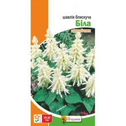 Шавлія блискуча Біла 0.1 г Шавлія блискуча Біла 0.1 г
