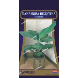 Пальма Банановая Велутина (5 семян) Пальма Банановая Велутина (5 семян)