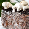 Печериця двоспорова 50 г (міцелій грибів)